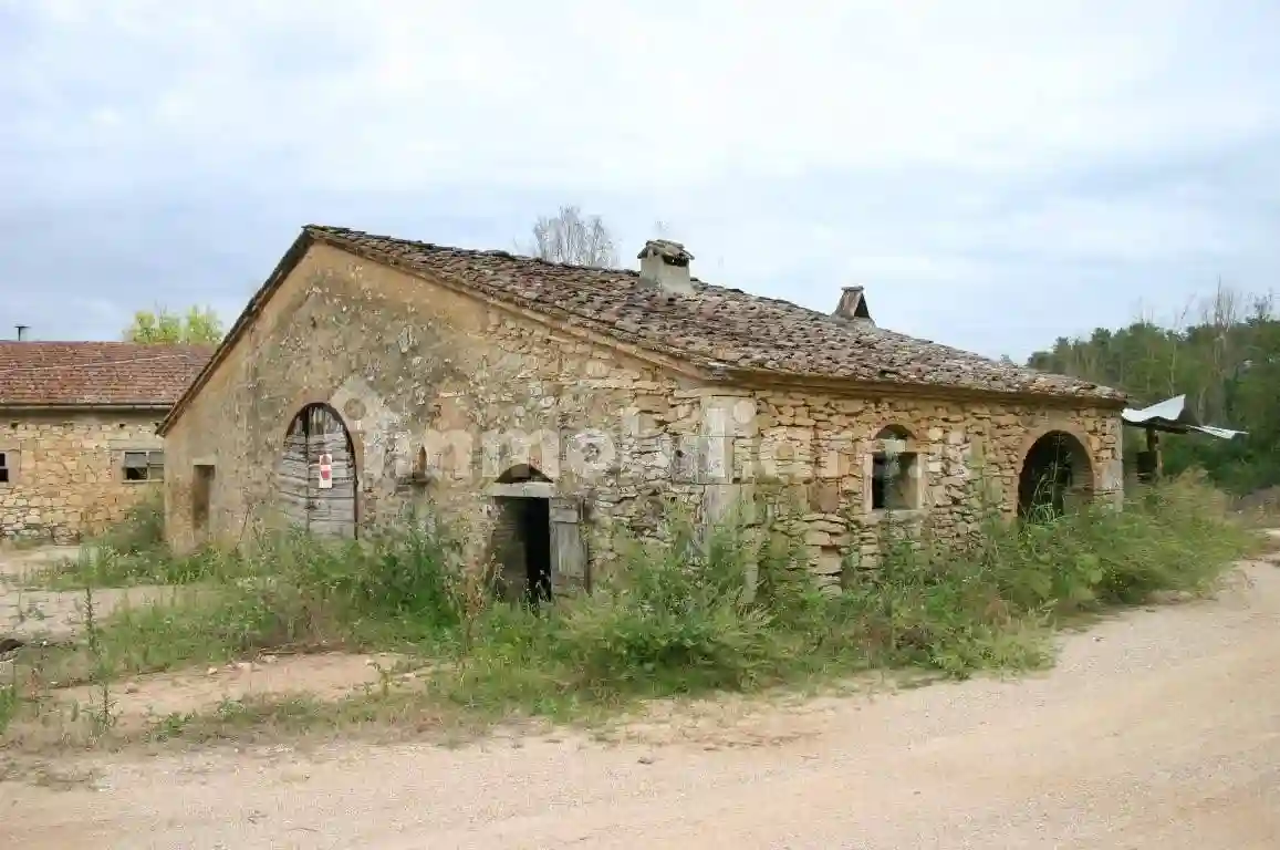Rustico - Casale - foto 5