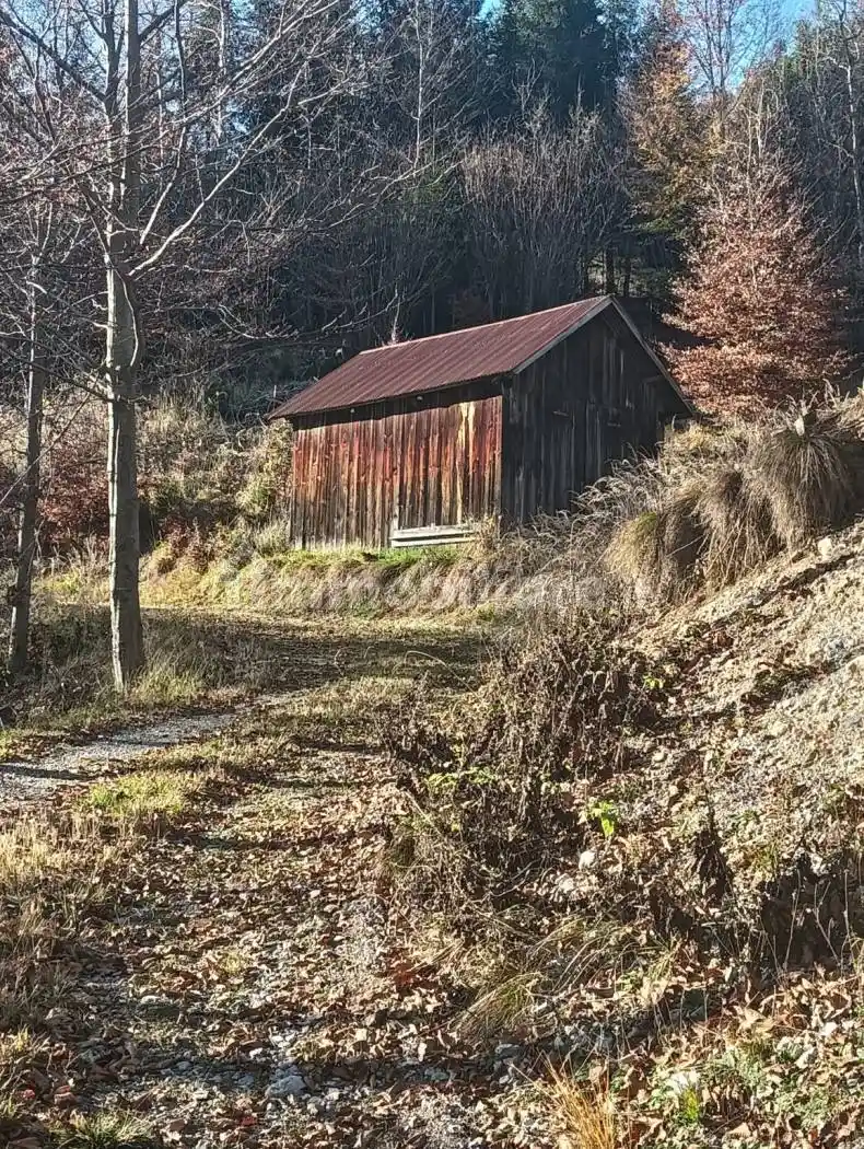 Rustico - Casale in vendita a Tarvisio