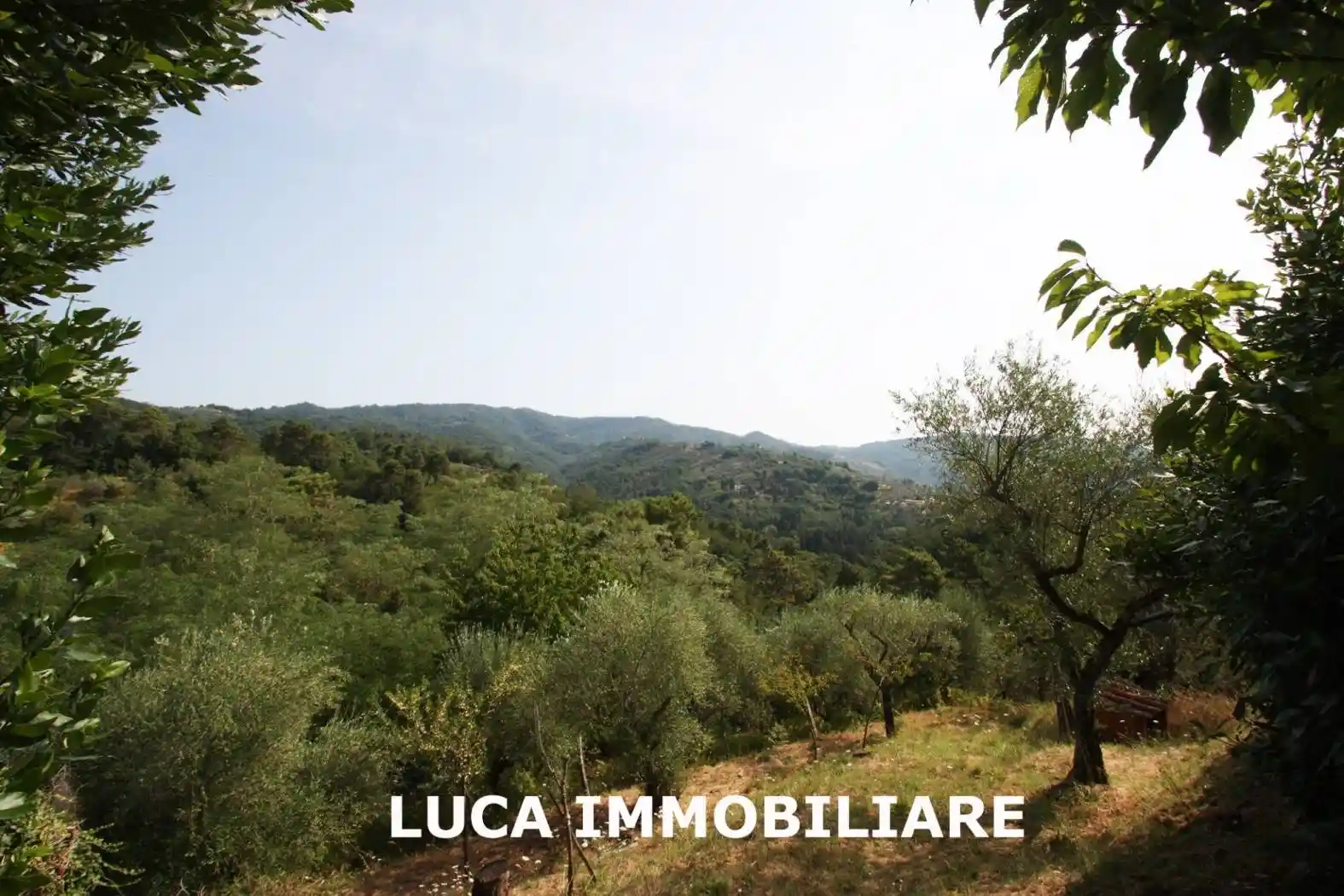 Villa in vendita a Buggiano