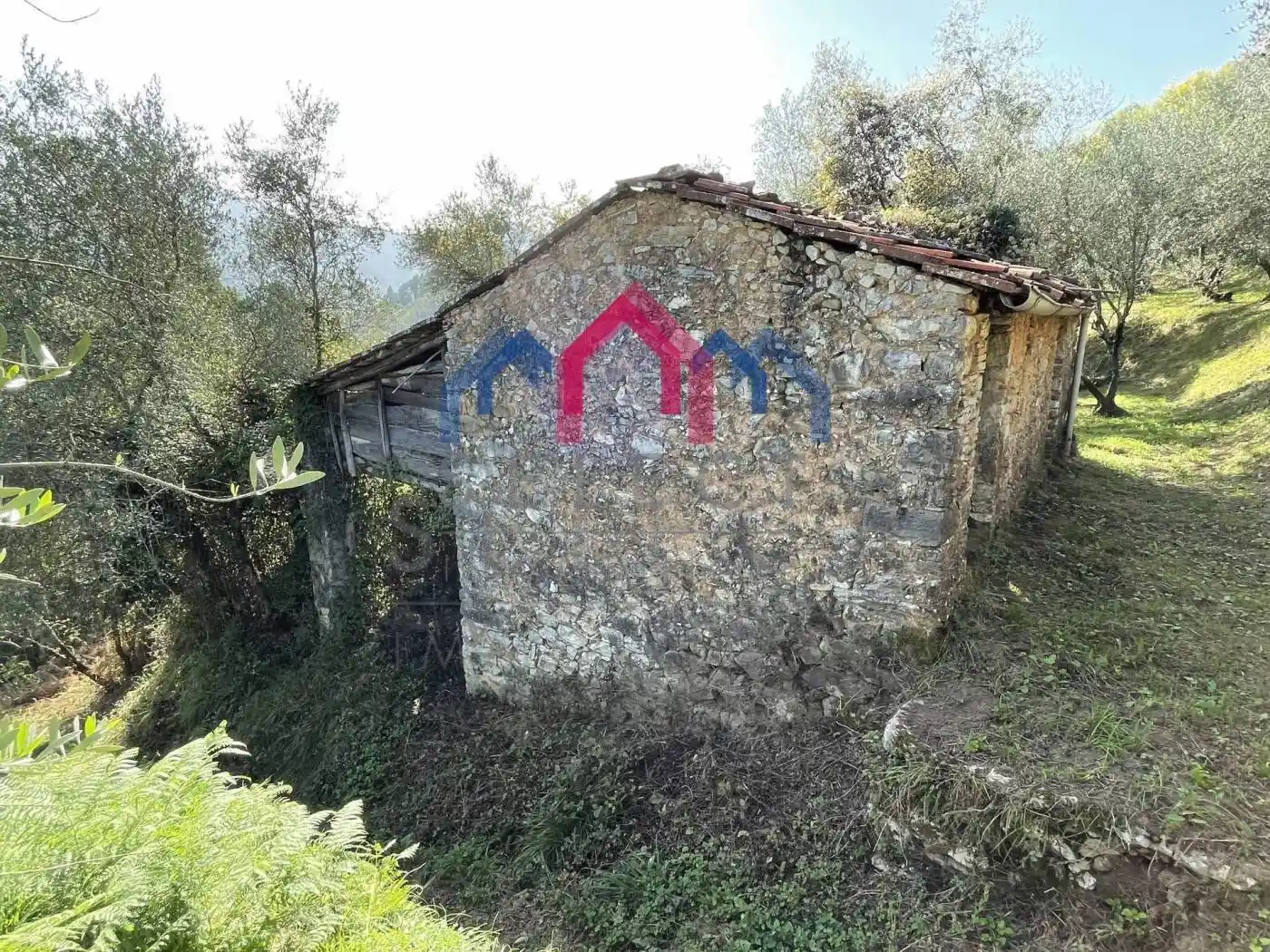 Rustico - Casale in vendita a Borgo a Mozzano