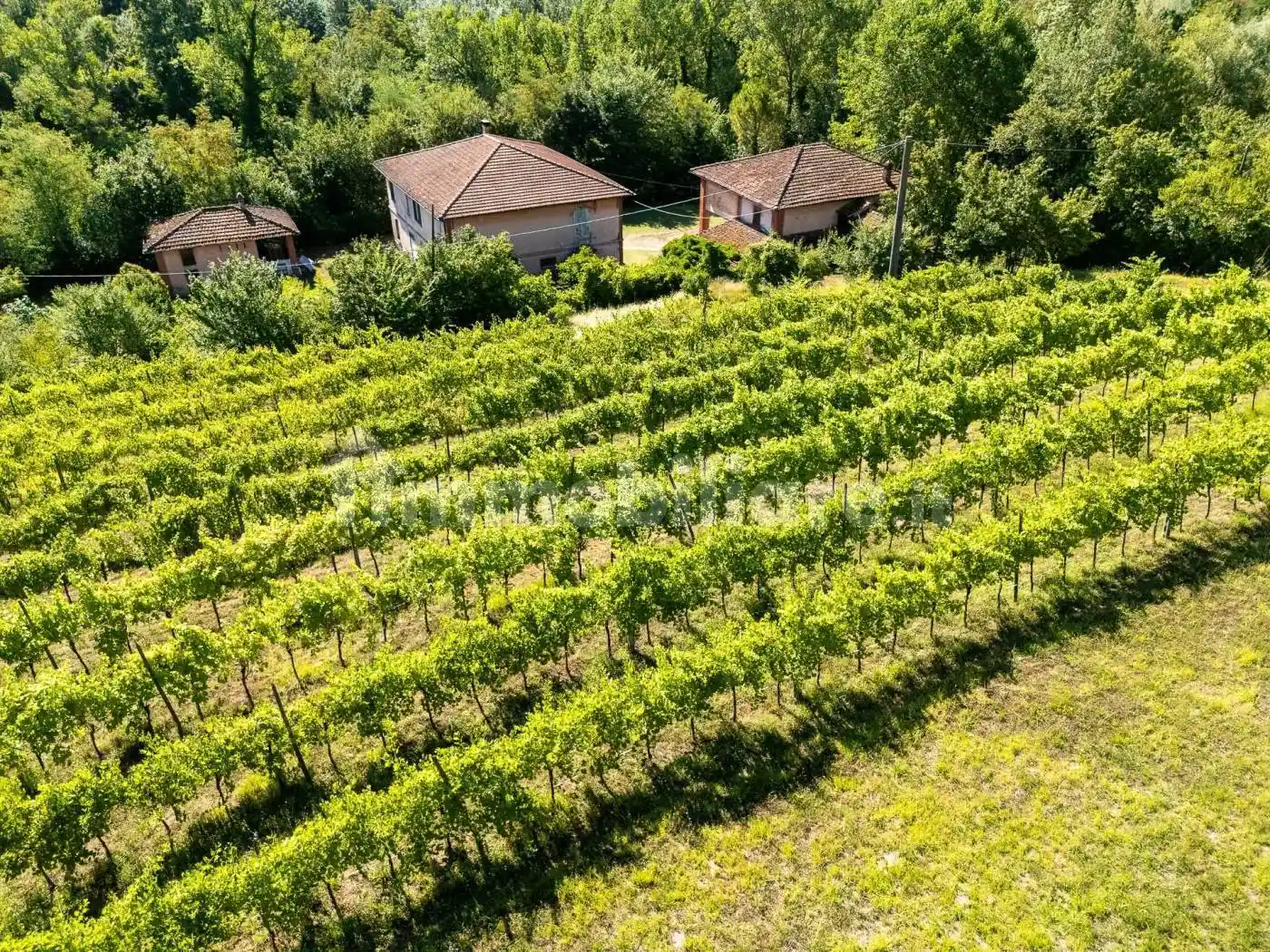 Rustico - Casale in vendita a Casalfiumanese