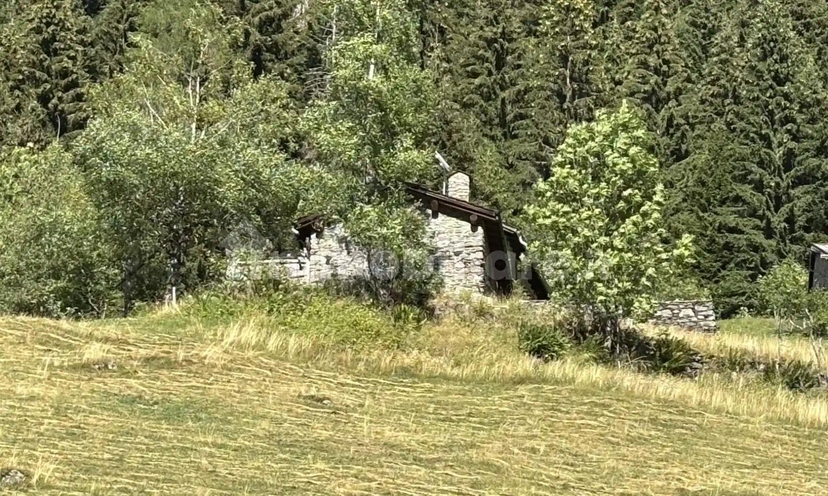 Rustico - Casale in vendita a Ponte in Valtellina
