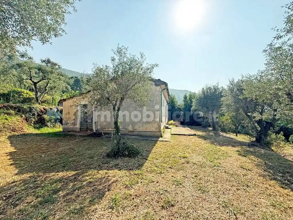 Rustico - Casale in vendita a Pietrasanta