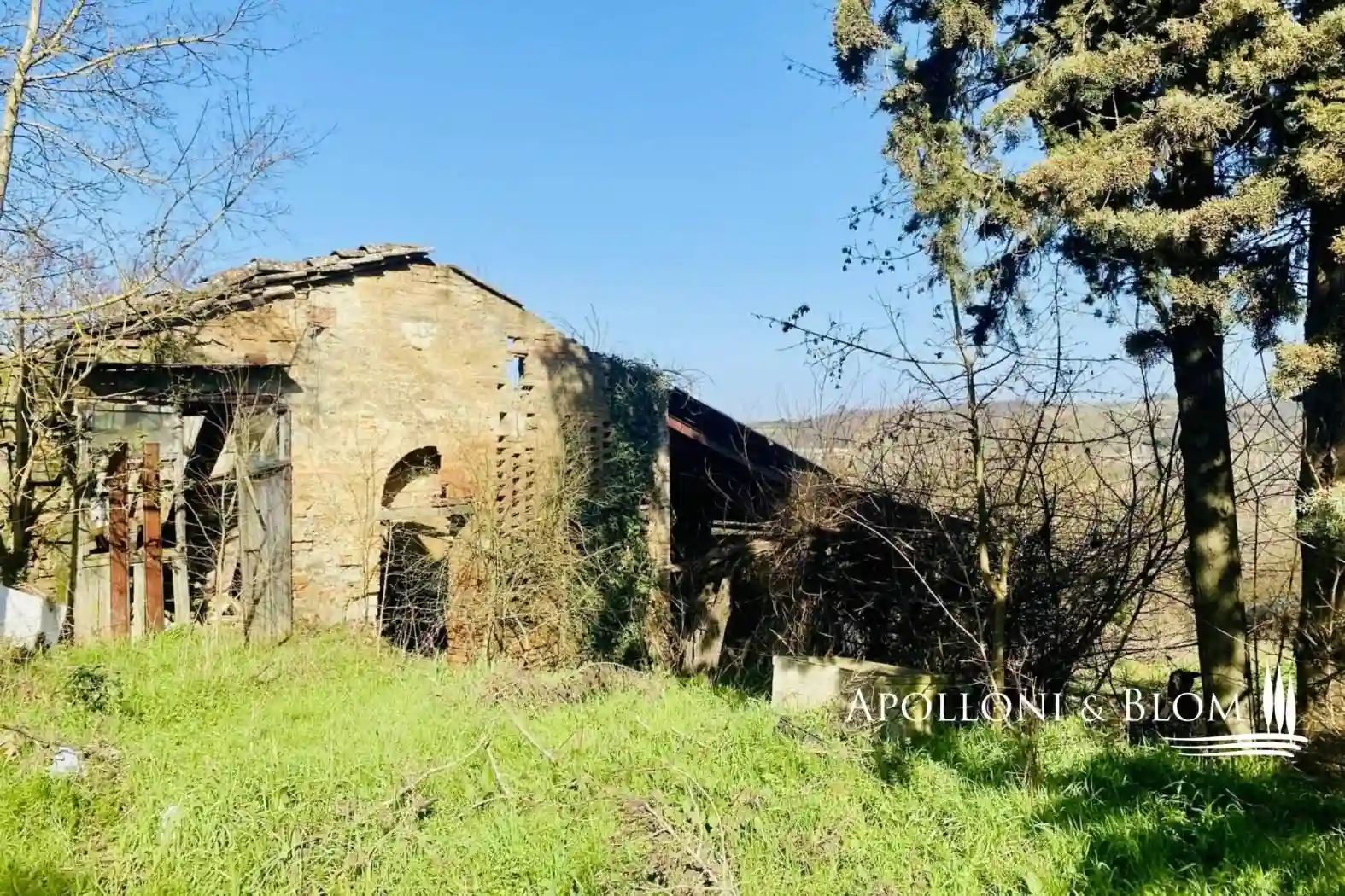 Rustico - Casale - foto 3