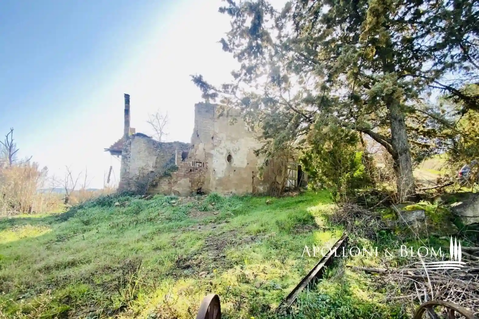 Rustico - Casale - foto 5