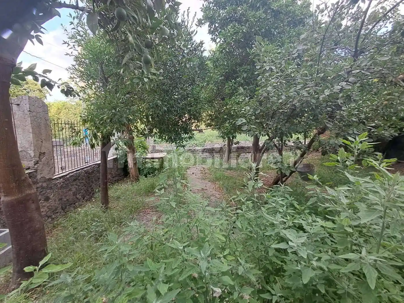 Casa indipendente in vendita a Somma Vesuviana