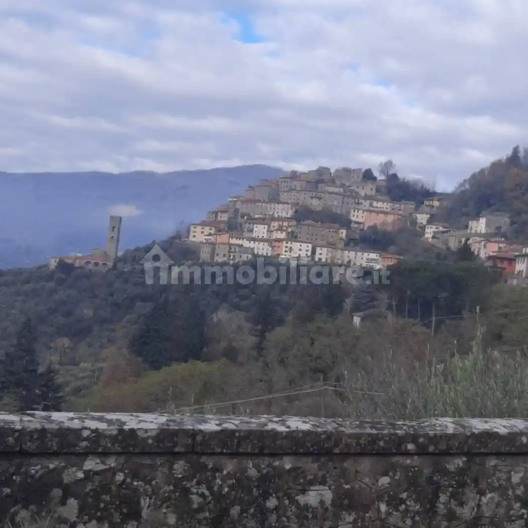 Casa indipendente in vendita a Pescia