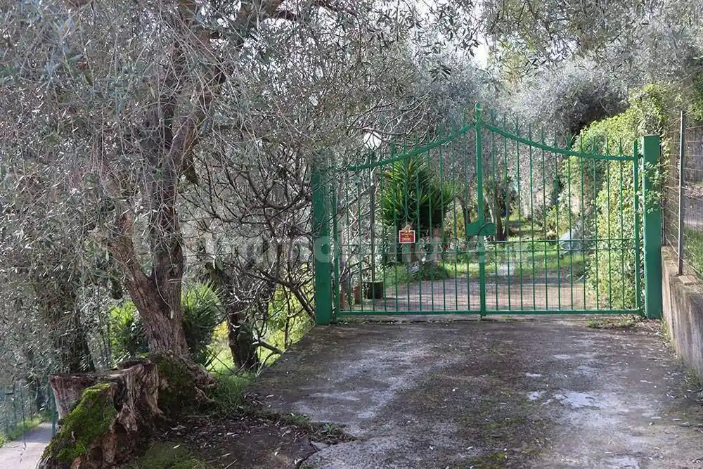 Rustico - Casale in vendita a Camporosso
