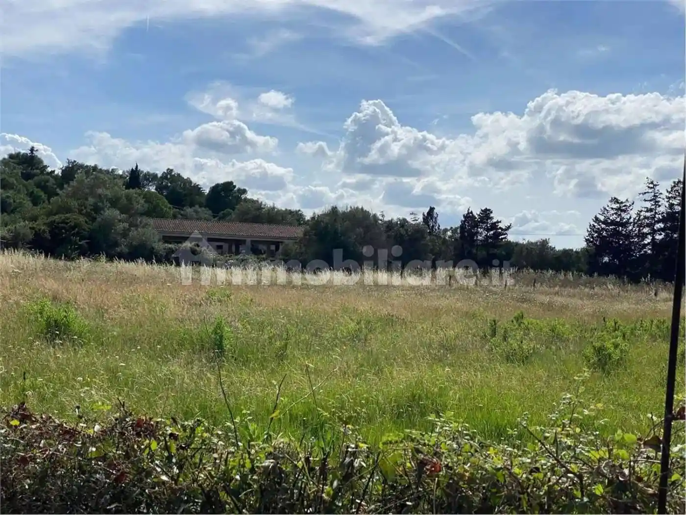 Rustico - Casale in vendita a Arzachena