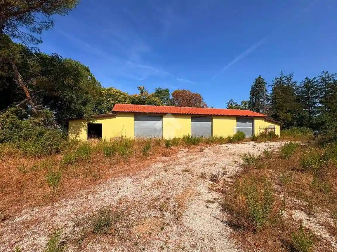 Rustico - Casale - foto 4