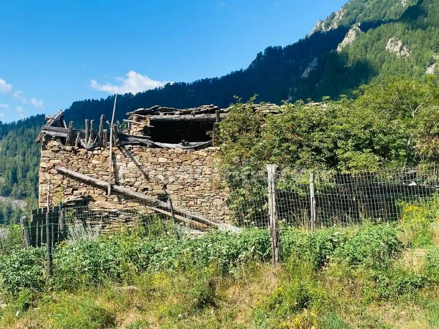Rustico - Casale - foto 4