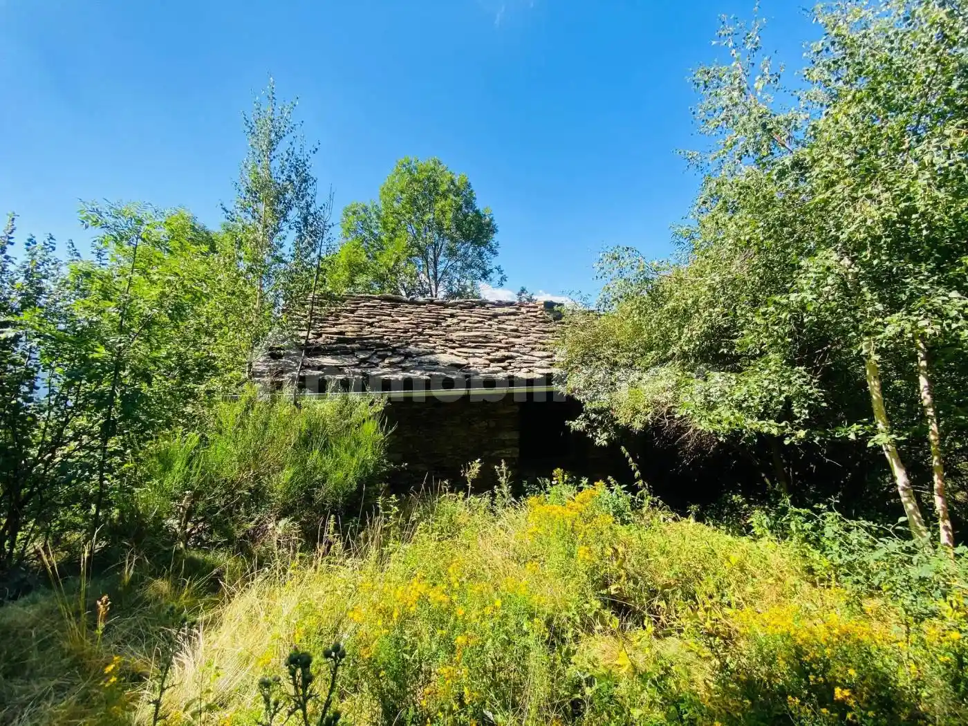 Rustico - Casale in vendita a Fontainemore