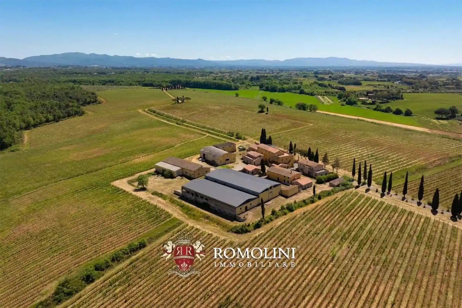Villa in vendita a Montescudaio