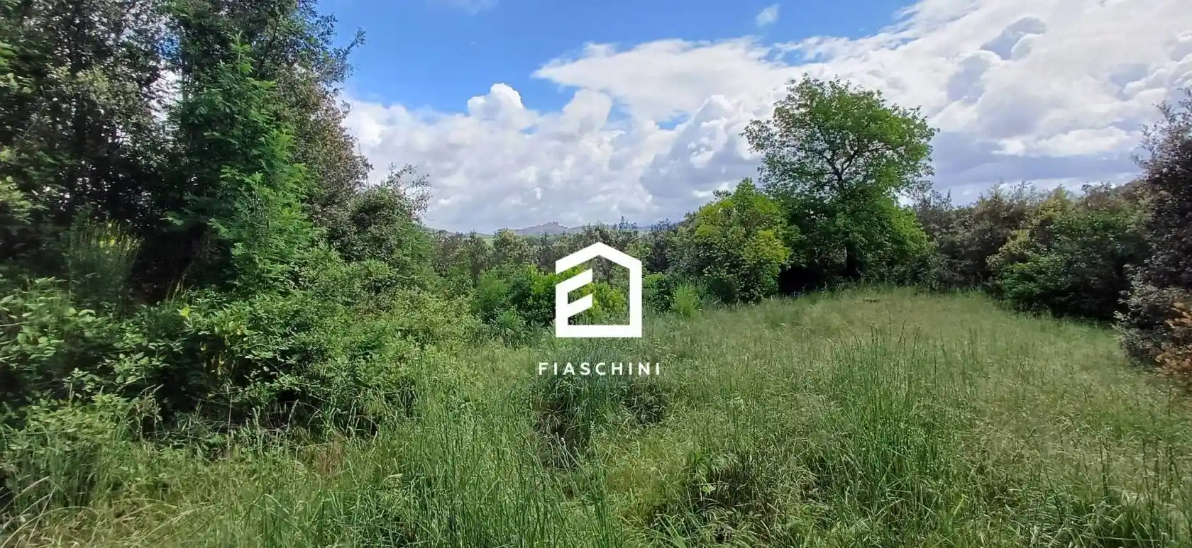Rustico - Casale in vendita a Amelia