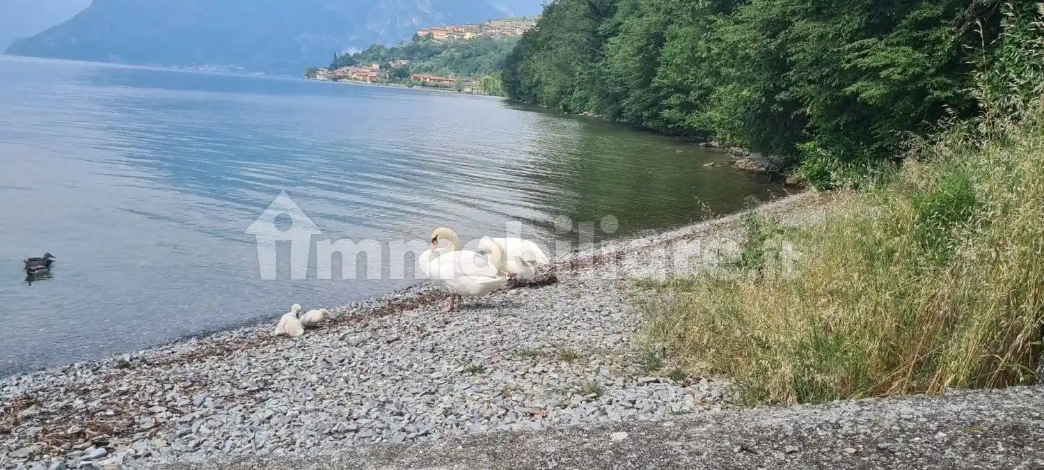 Appartamento in vendita a Monte Isola