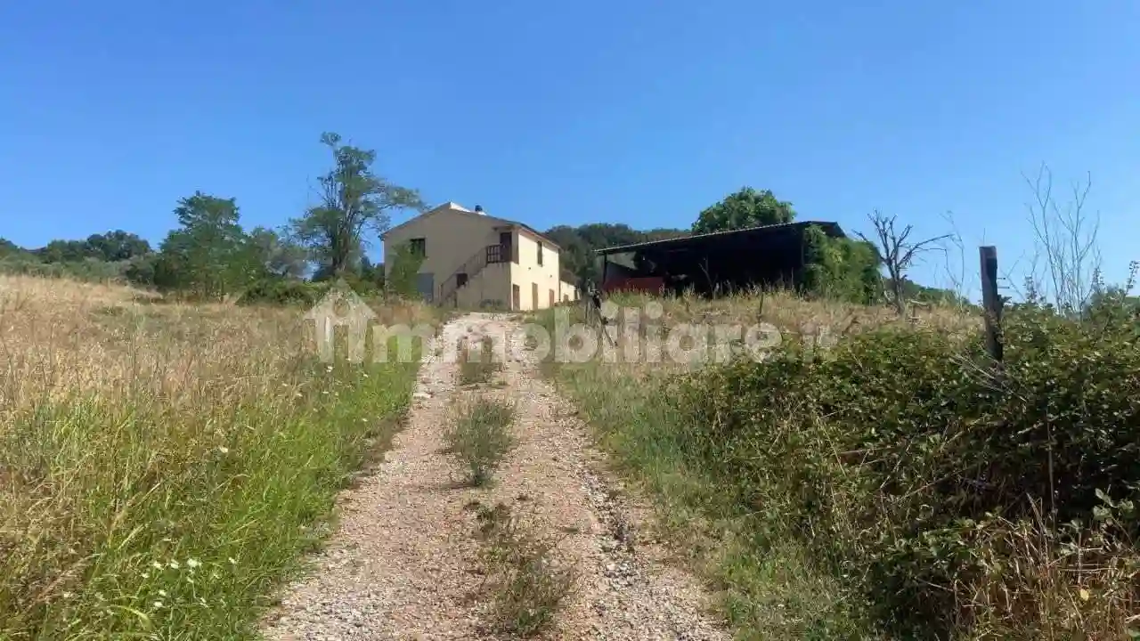 Rustico - Casale - foto 4