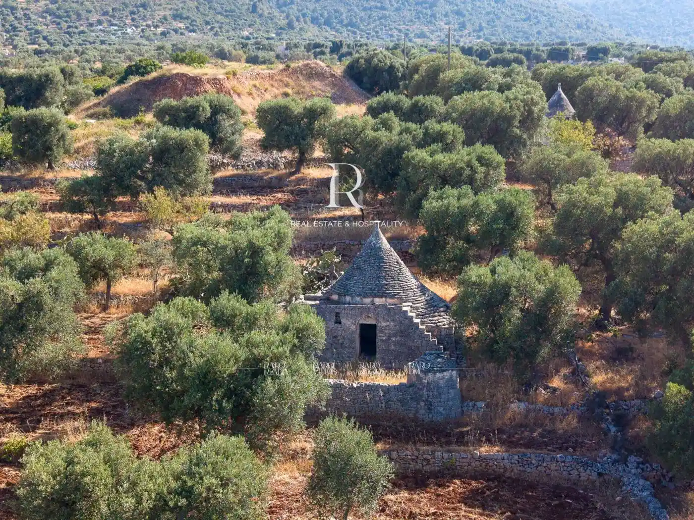 Rustico - Casale in vendita a Fasano