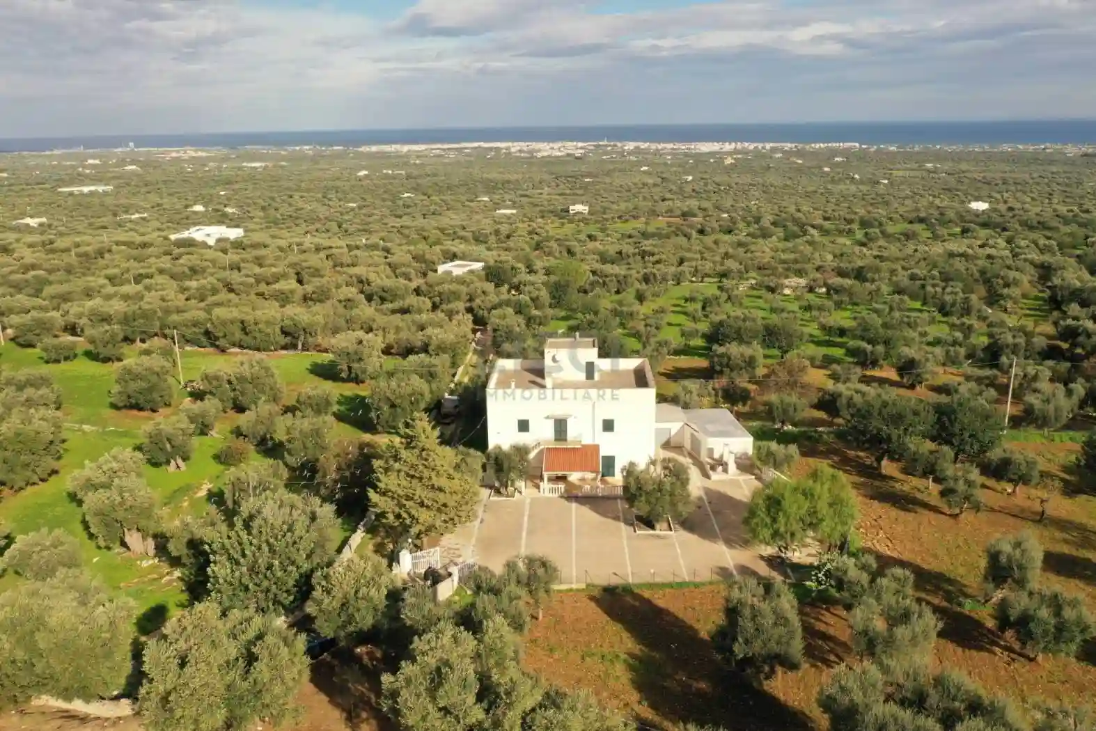 Villa - foto 5
