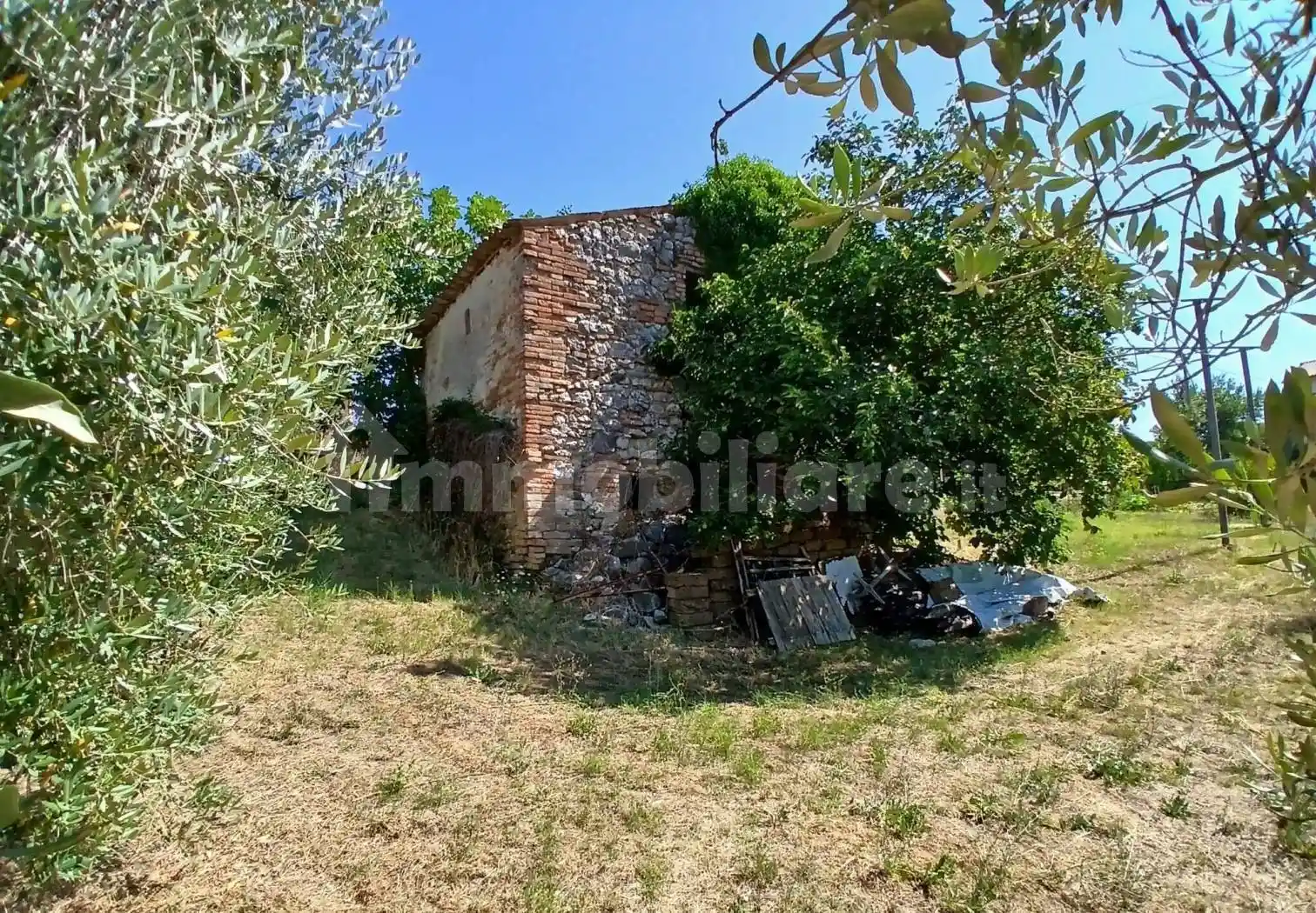 Rustico - Casale in vendita a Montecastrilli