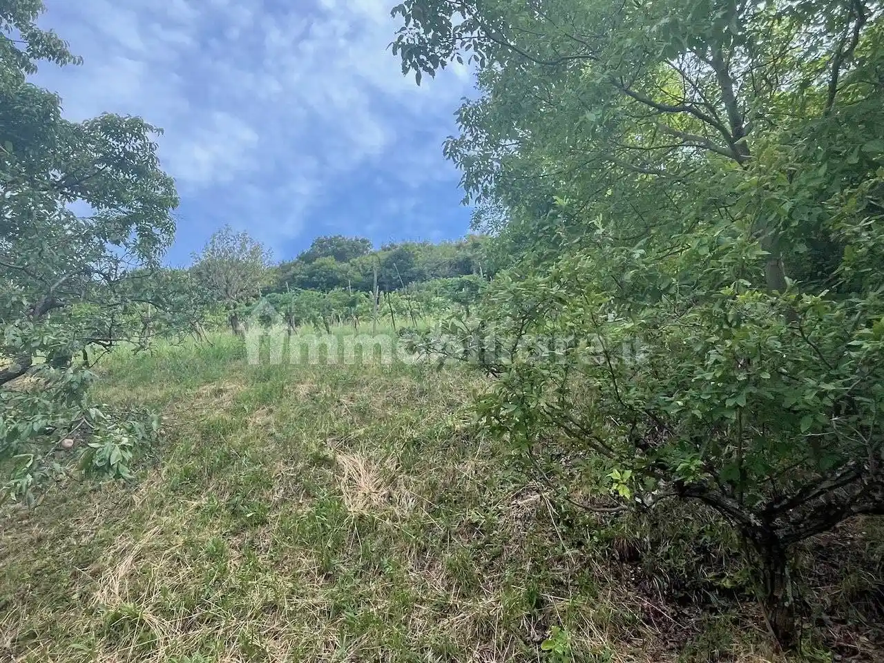 Rustico - Casale in vendita a Longare