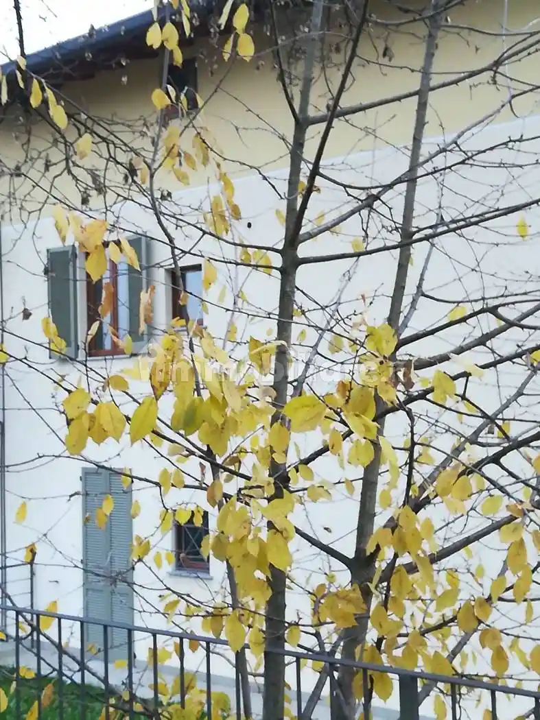 Appartamento in vendita a Gornate-Olona