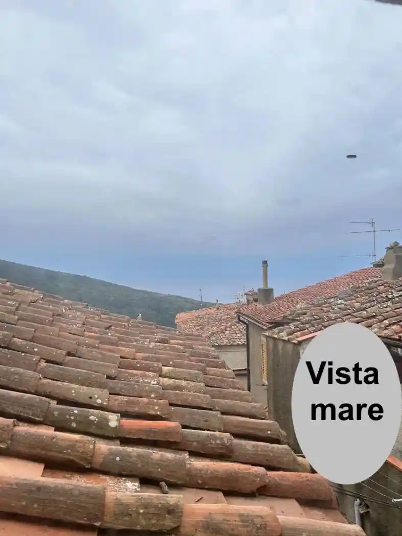 Appartamento in vendita a Isola del Giglio