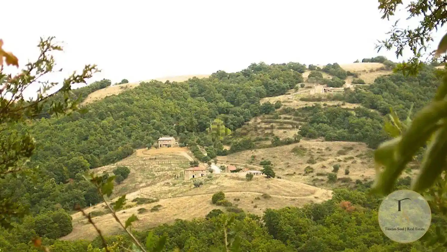 Rustico - Casale in vendita a Piegaro
