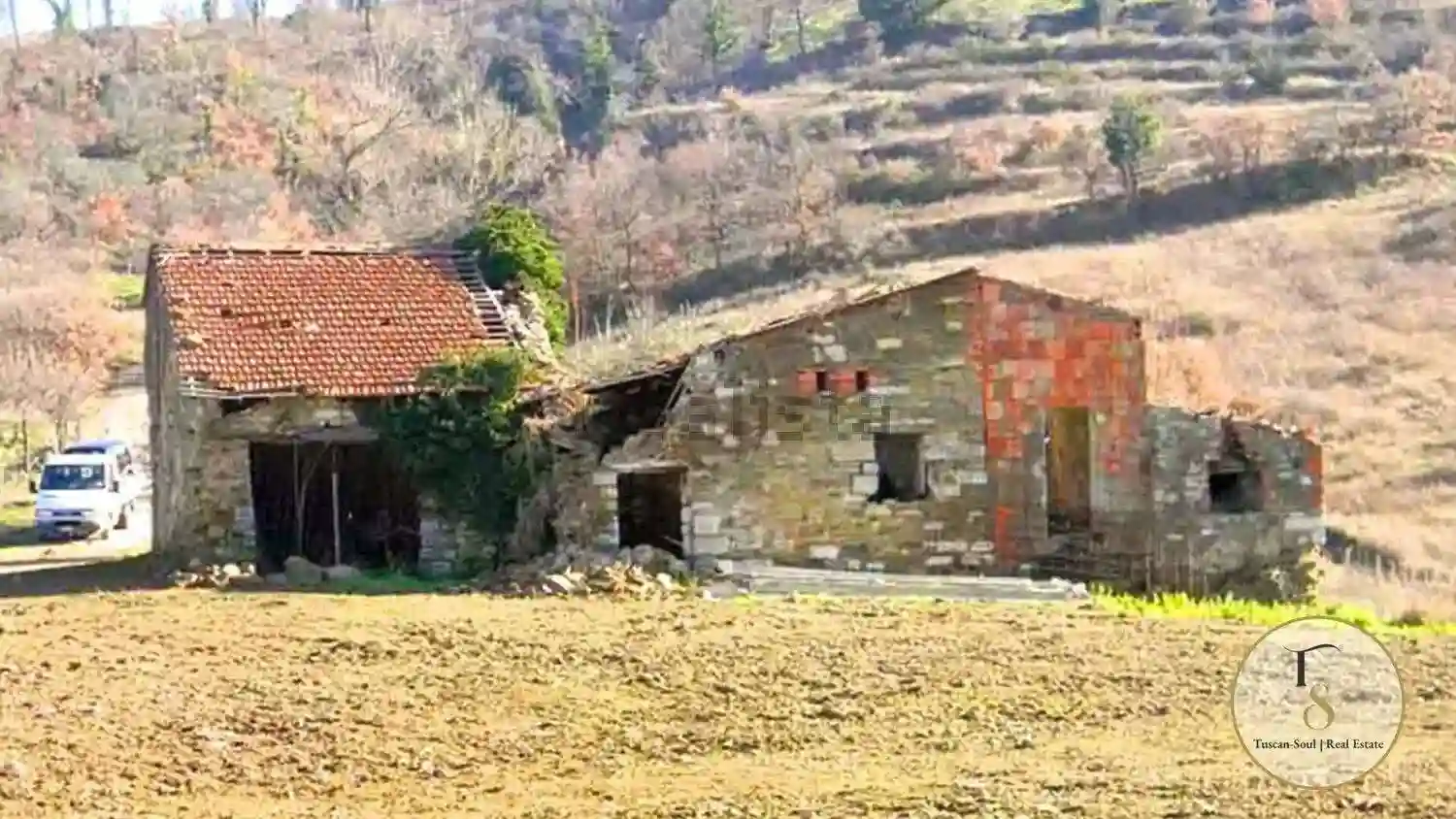 Rustico - Casale - foto 3