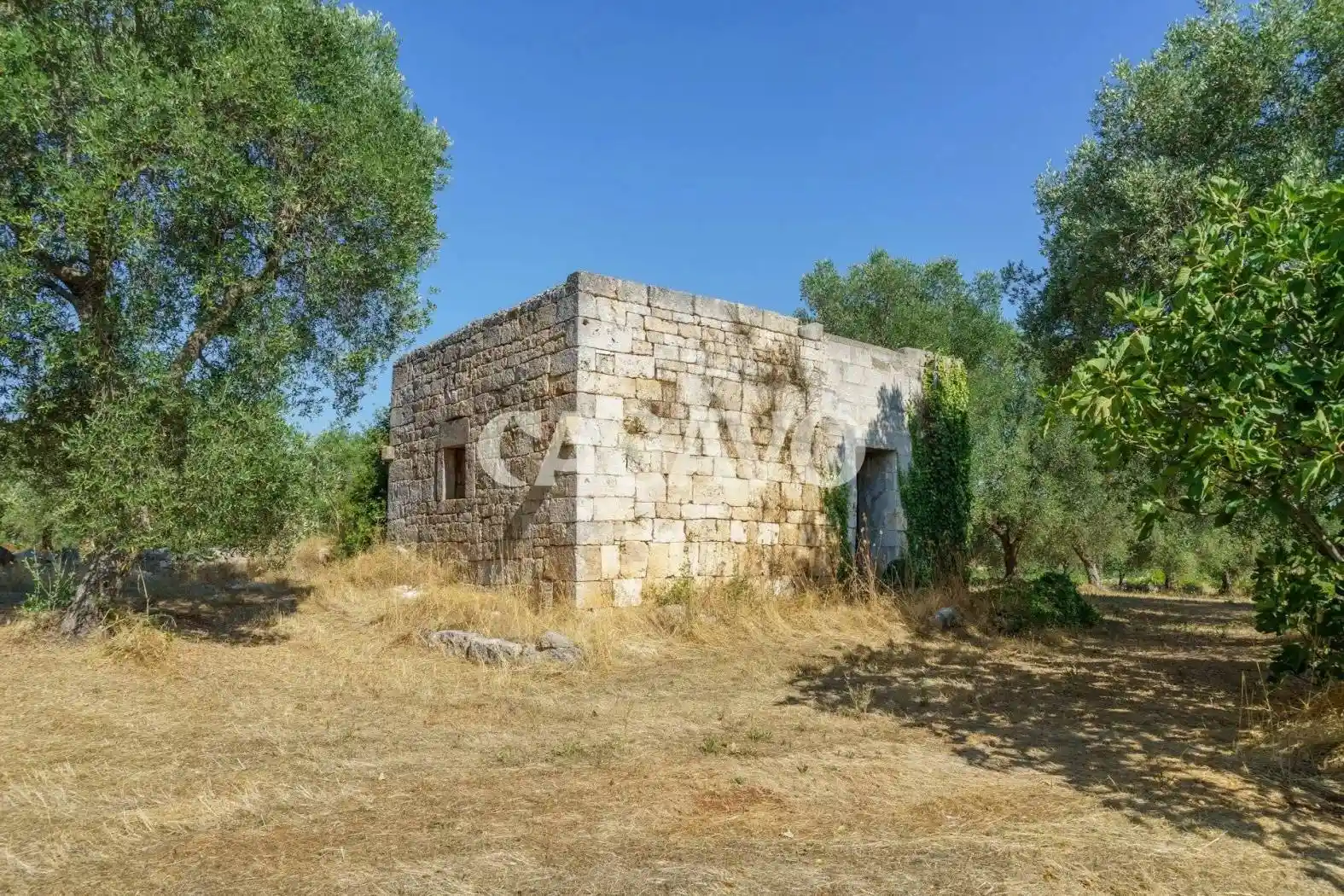 Rustico - Casale in vendita a Ceglie Messapica