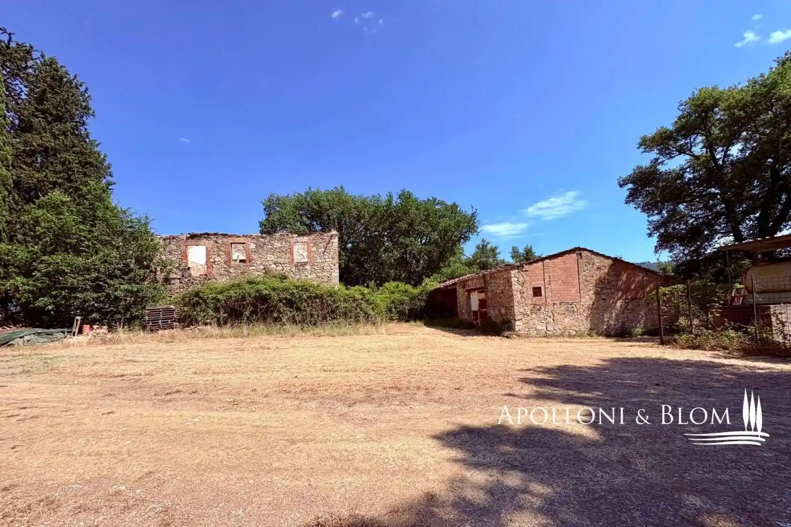 Rustico - Casale in vendita a Castelnuovo Berardenga