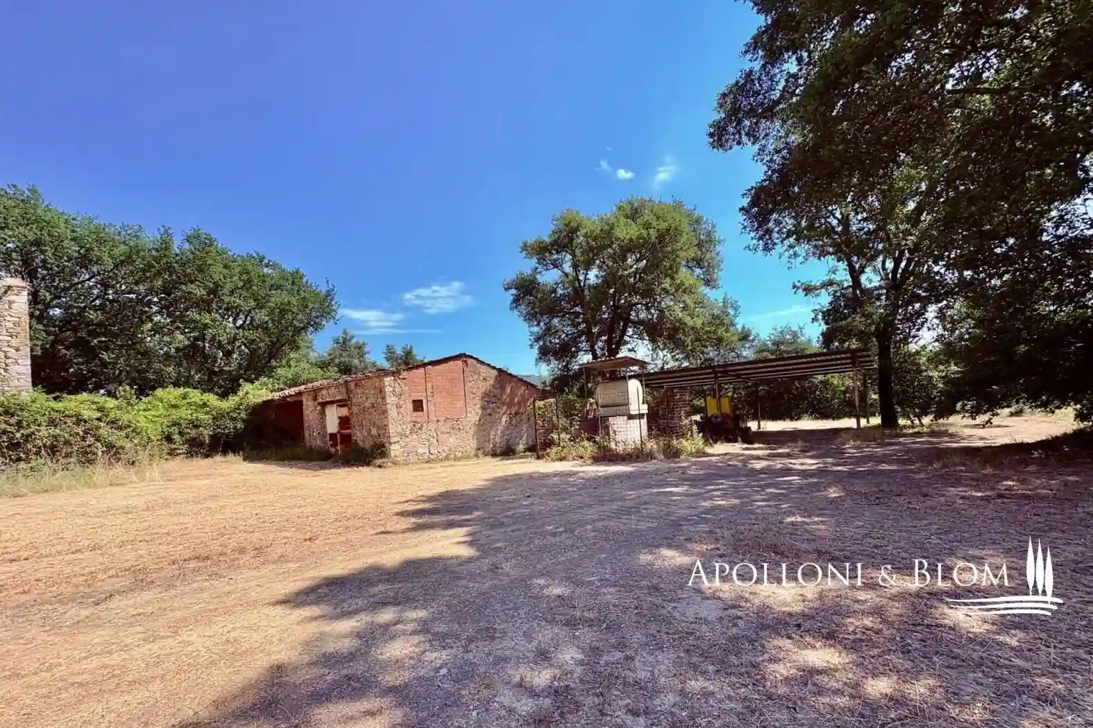 Rustico - Casale - foto 5