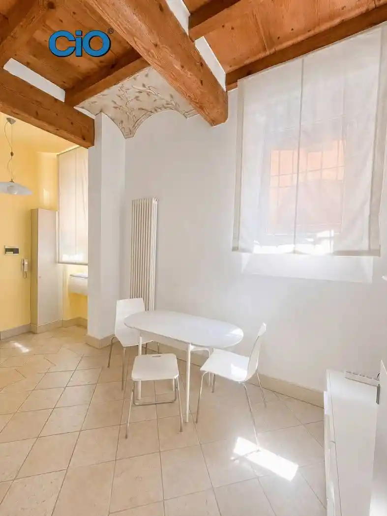 Loft in affitto a Bologna