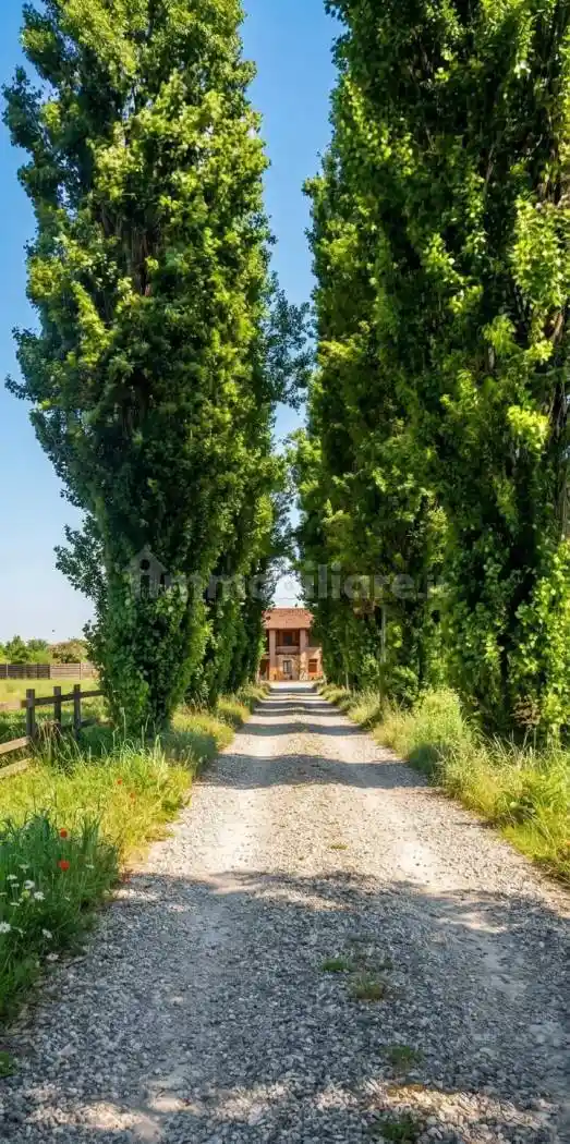 Rustico - Casale in vendita a Cologno al Serio