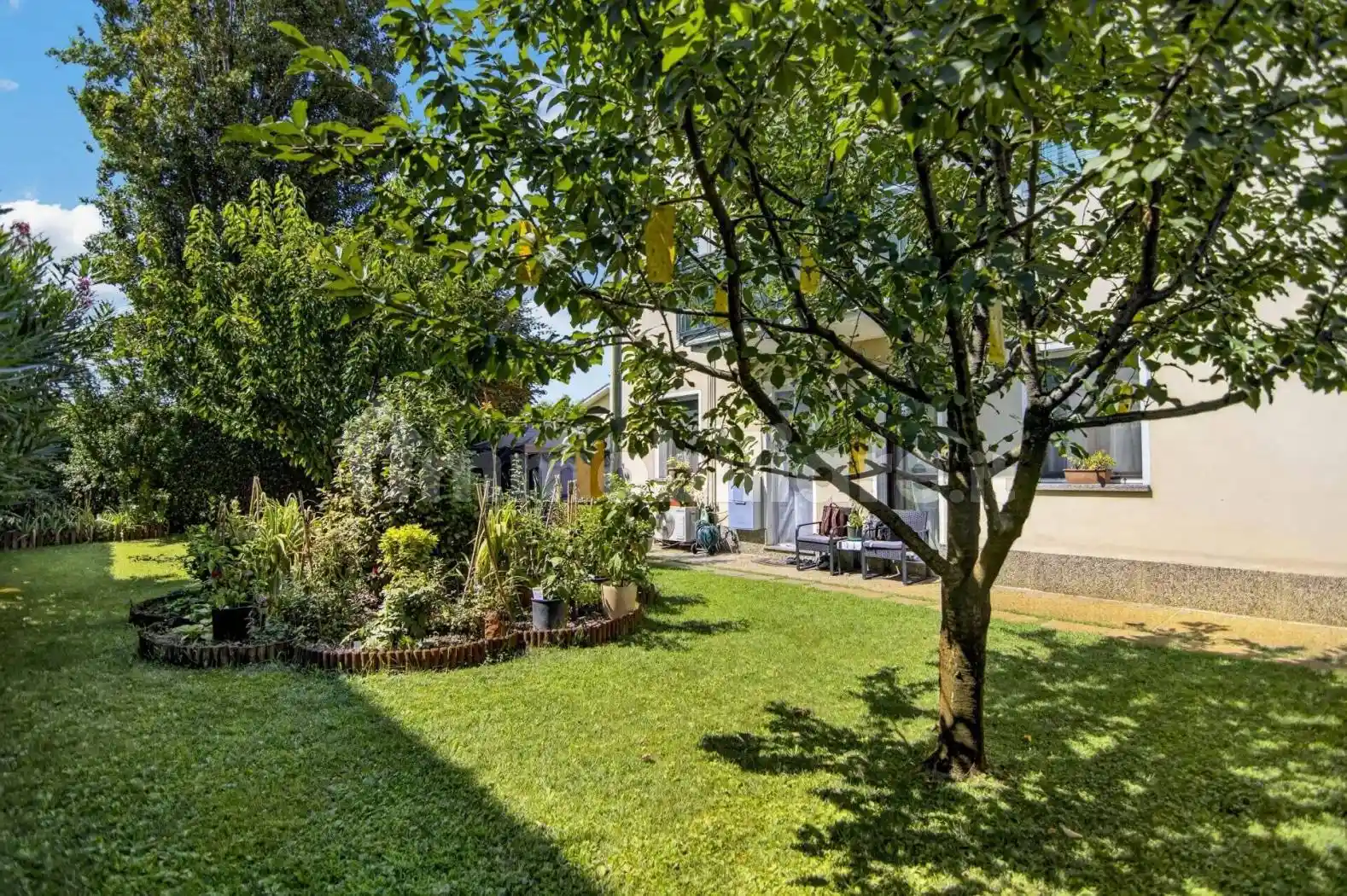 Appartamento in affitto a Vigonovo