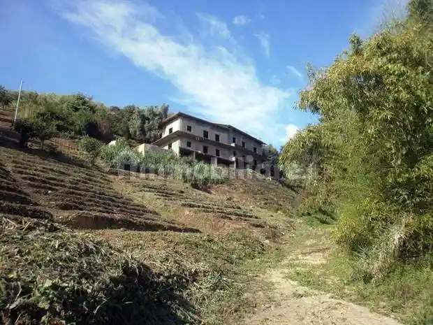 Palazzo - Edificio in vendita a Carrara