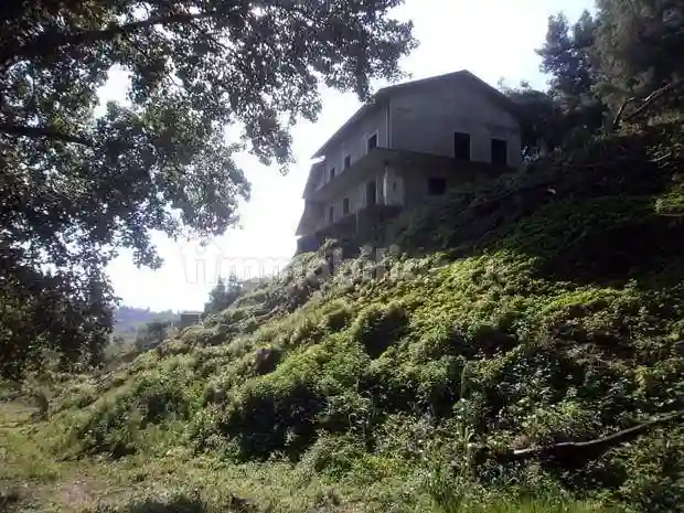Palazzo - Edificio - foto 2
