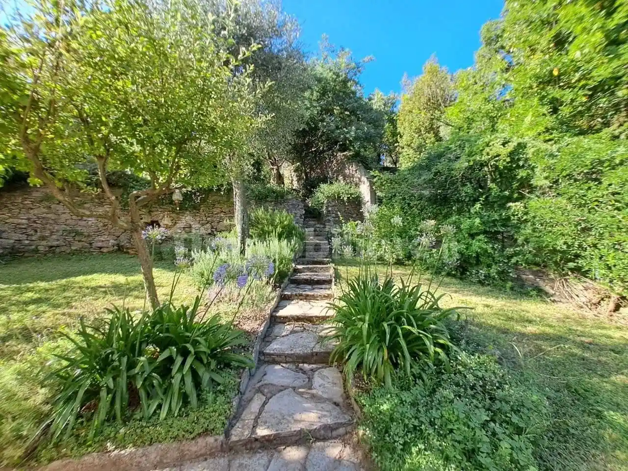 Villa in affitto a Rapallo