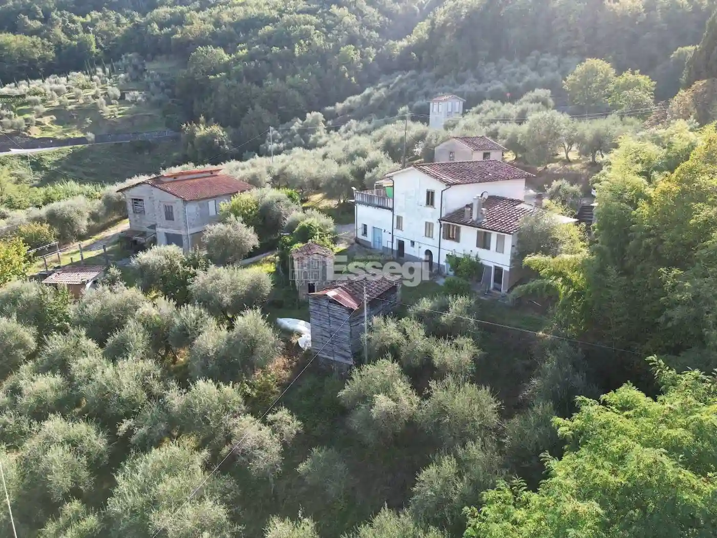 Rustico - Casale - foto 3