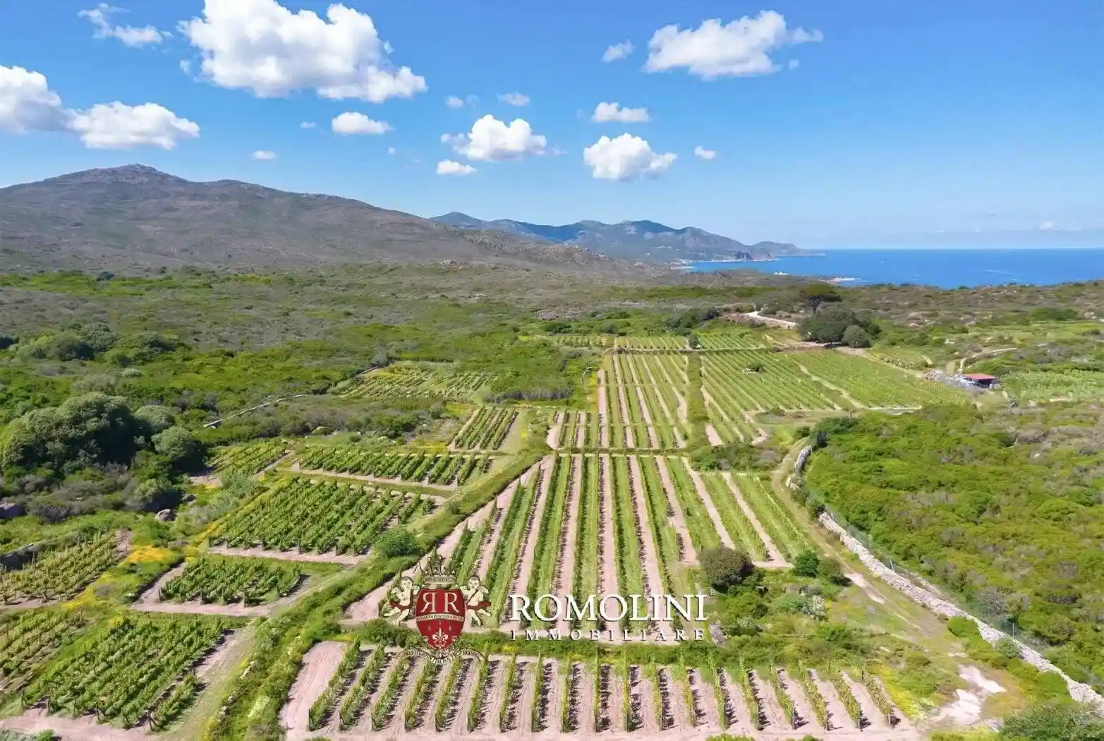 Villa in vendita a Capraia Isola