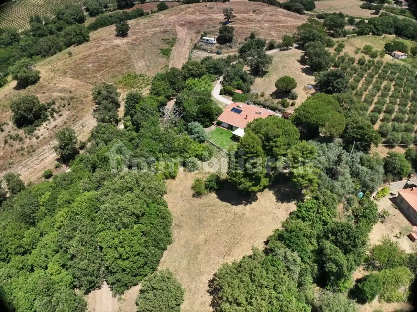 Villa in vendita a Scansano