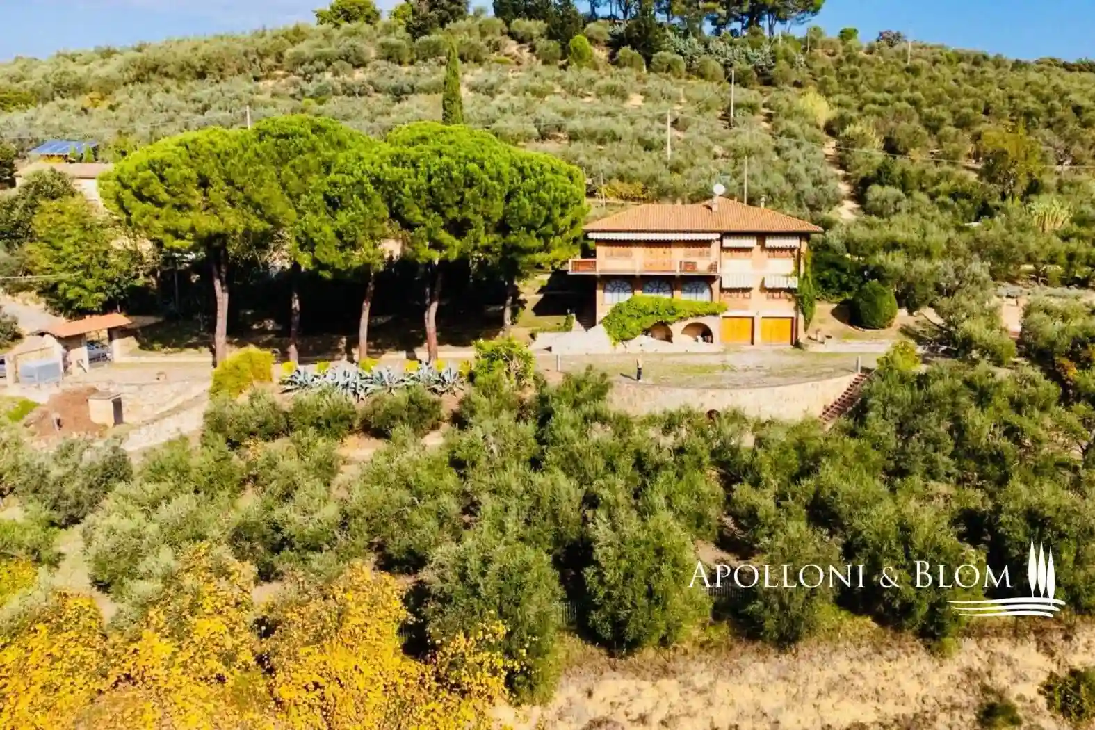 Villa - foto 4