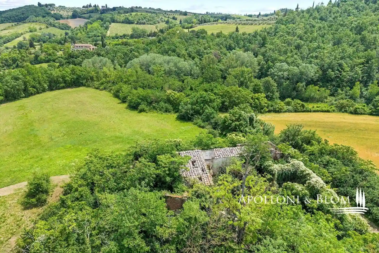 Rustico - Casale - foto 3