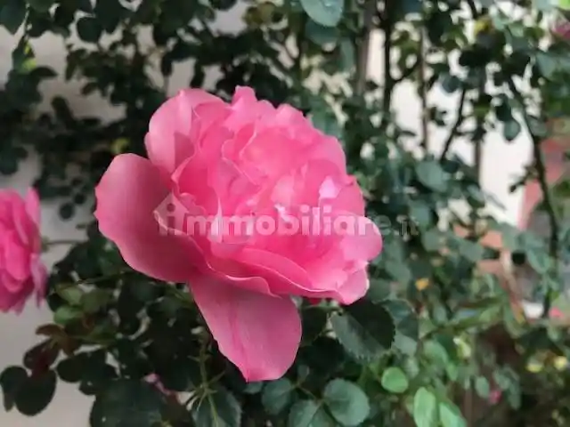 Casa indipendente in vendita a Viareggio