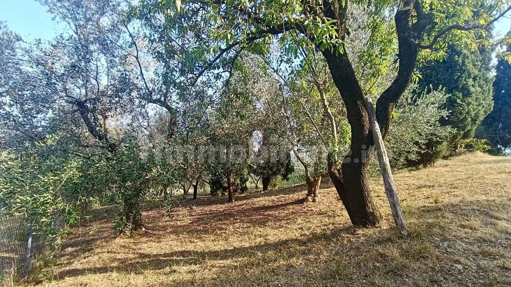 Casa indipendente in vendita a Villaga