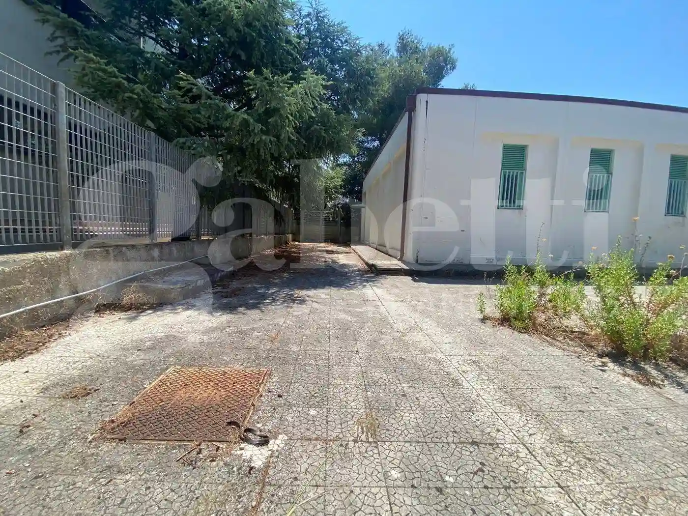 Palazzo - Edificio - foto 4