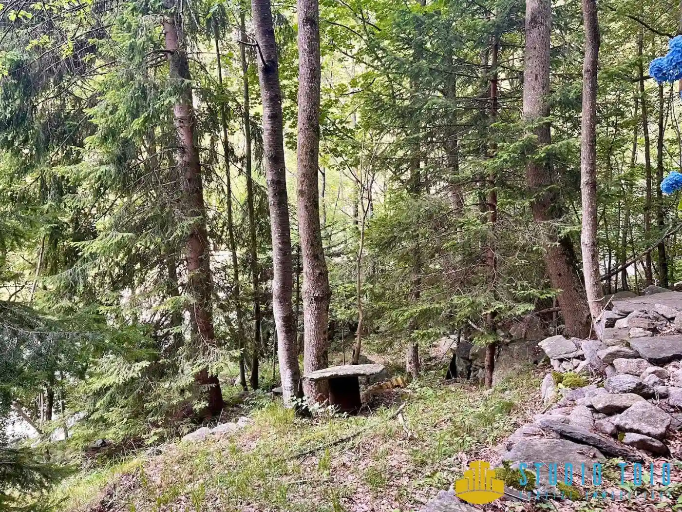 Rustico - Casale - foto 3