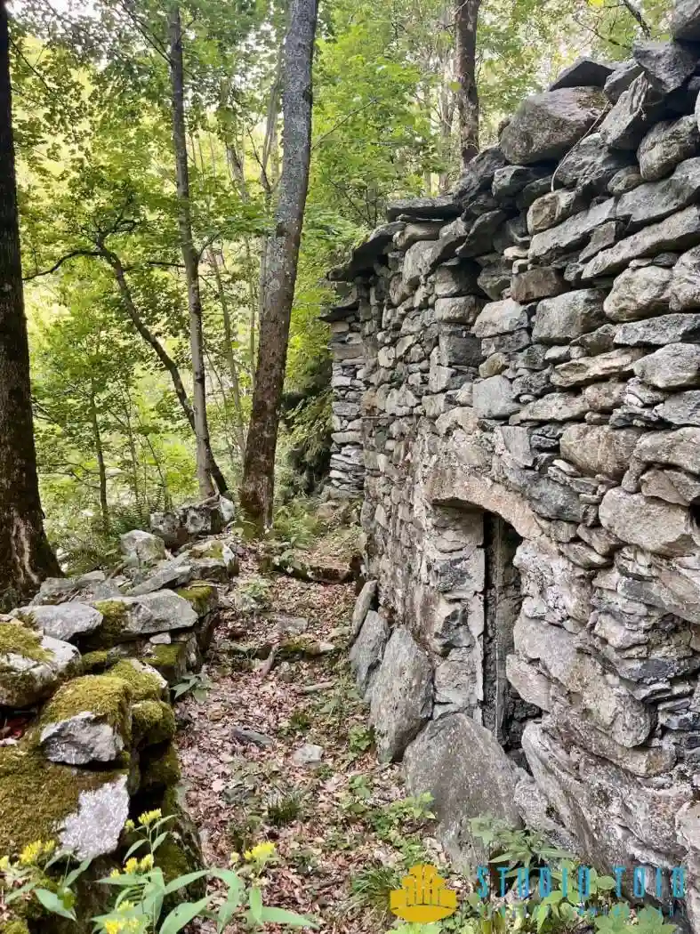 Rustico - Casale - foto 4