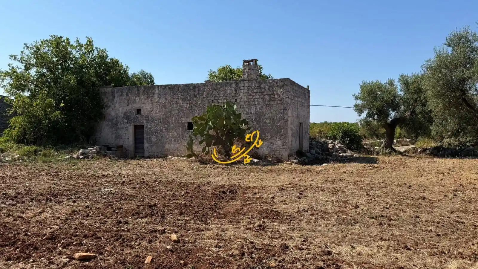 Rustico - Casale in vendita a Castellana Grotte