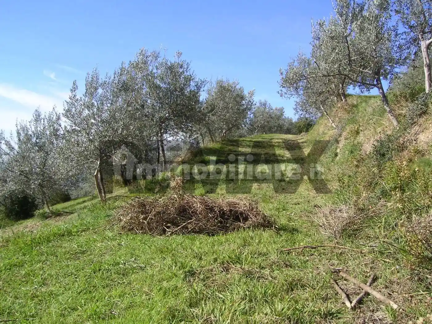 Rustico - Casale in vendita a Assisi