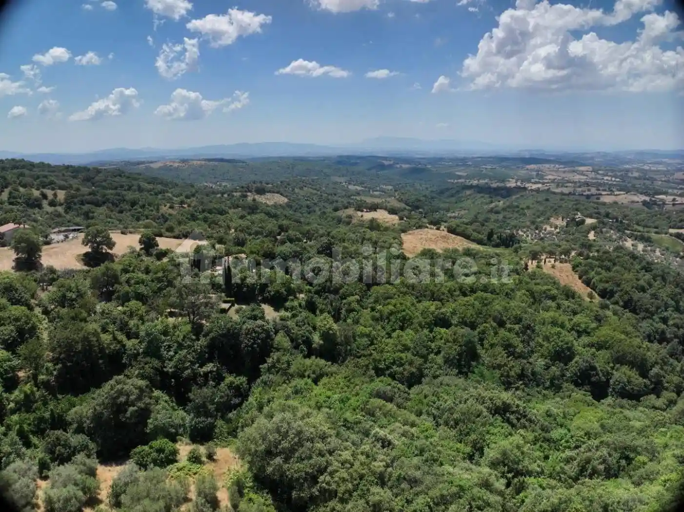 Casa indipendente in vendita a Scansano